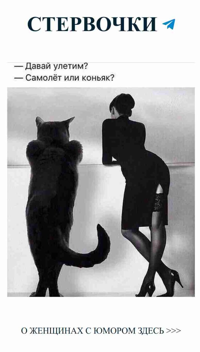 Женская любовь и черные коты: юмор на каждый день