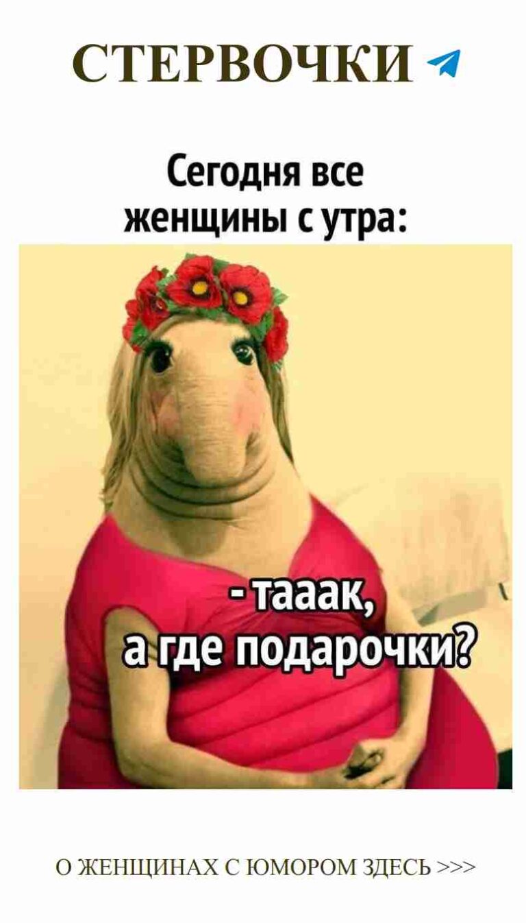 Смех и любовь: забавные истории о женщинах