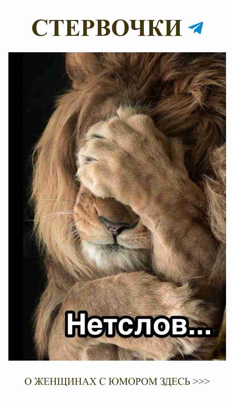 Лев спит? Не упусти момент проявить свою любовь