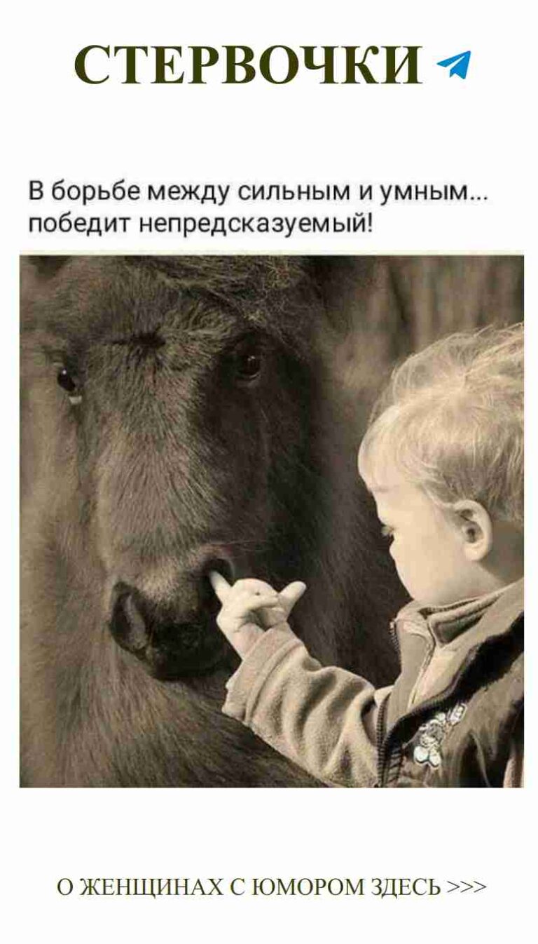 Когда любовь встречает диких животных и смешные моменты