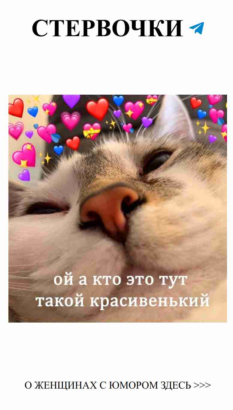 Котик сны видит, а сердце – ликует от любви