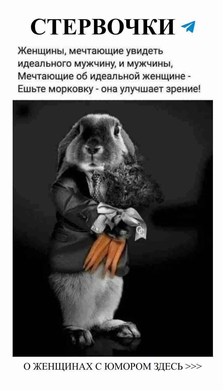 Когда любовь заставляет улыбаться даже льва