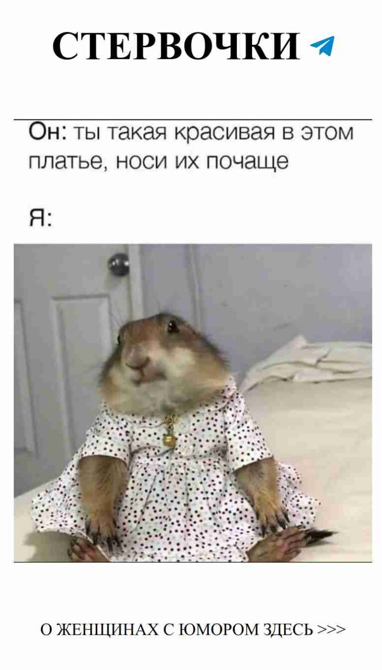 Крыска в платье: смешные моменты любви и романтики