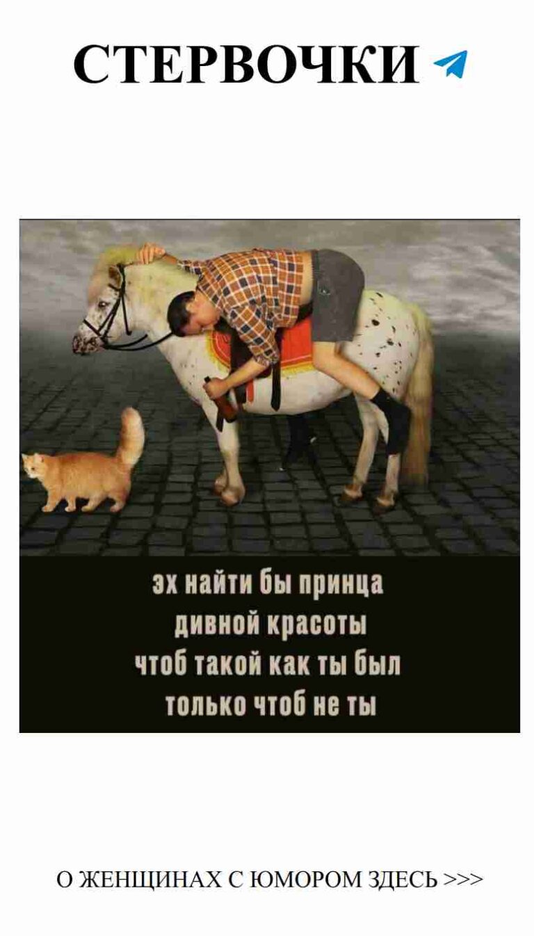 Женщина на лошади и кот: любовь с юмором и друзьями