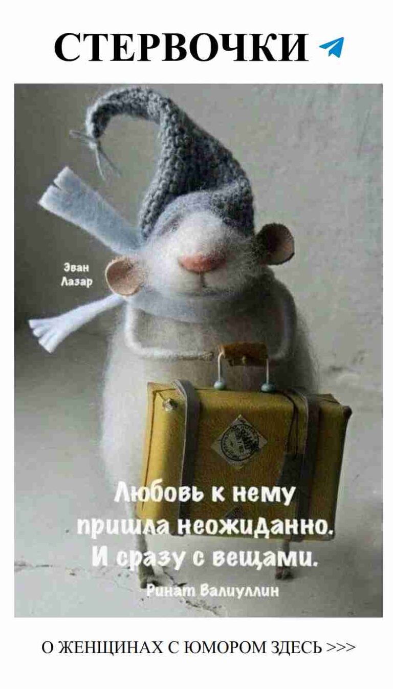 Очаровашки вязаные шапки для любительниц животных