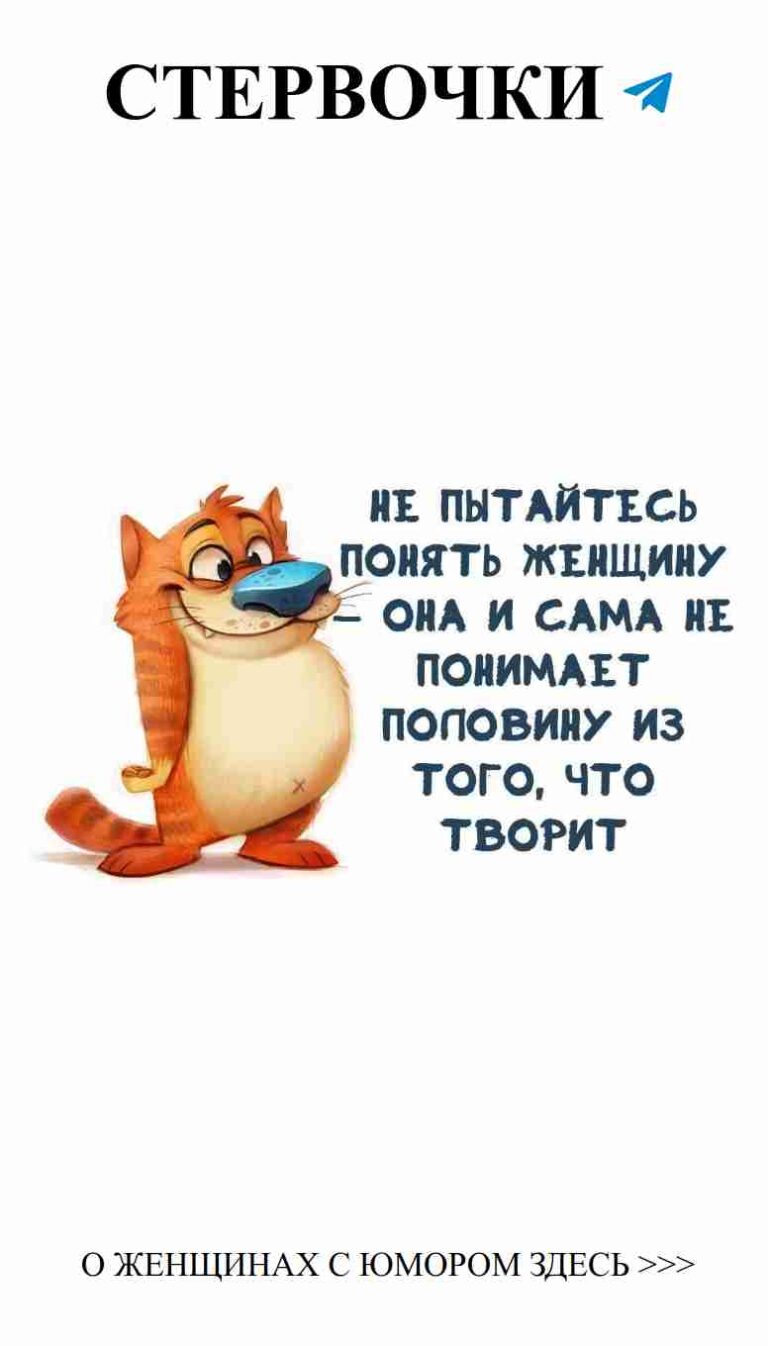 Когда коты знают, как быть взрослыми, но тоже хотят любви