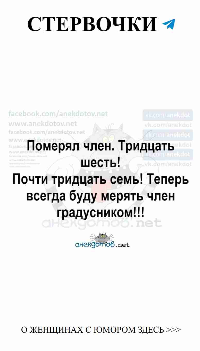 Смешные истории о любви и кошках для девушек