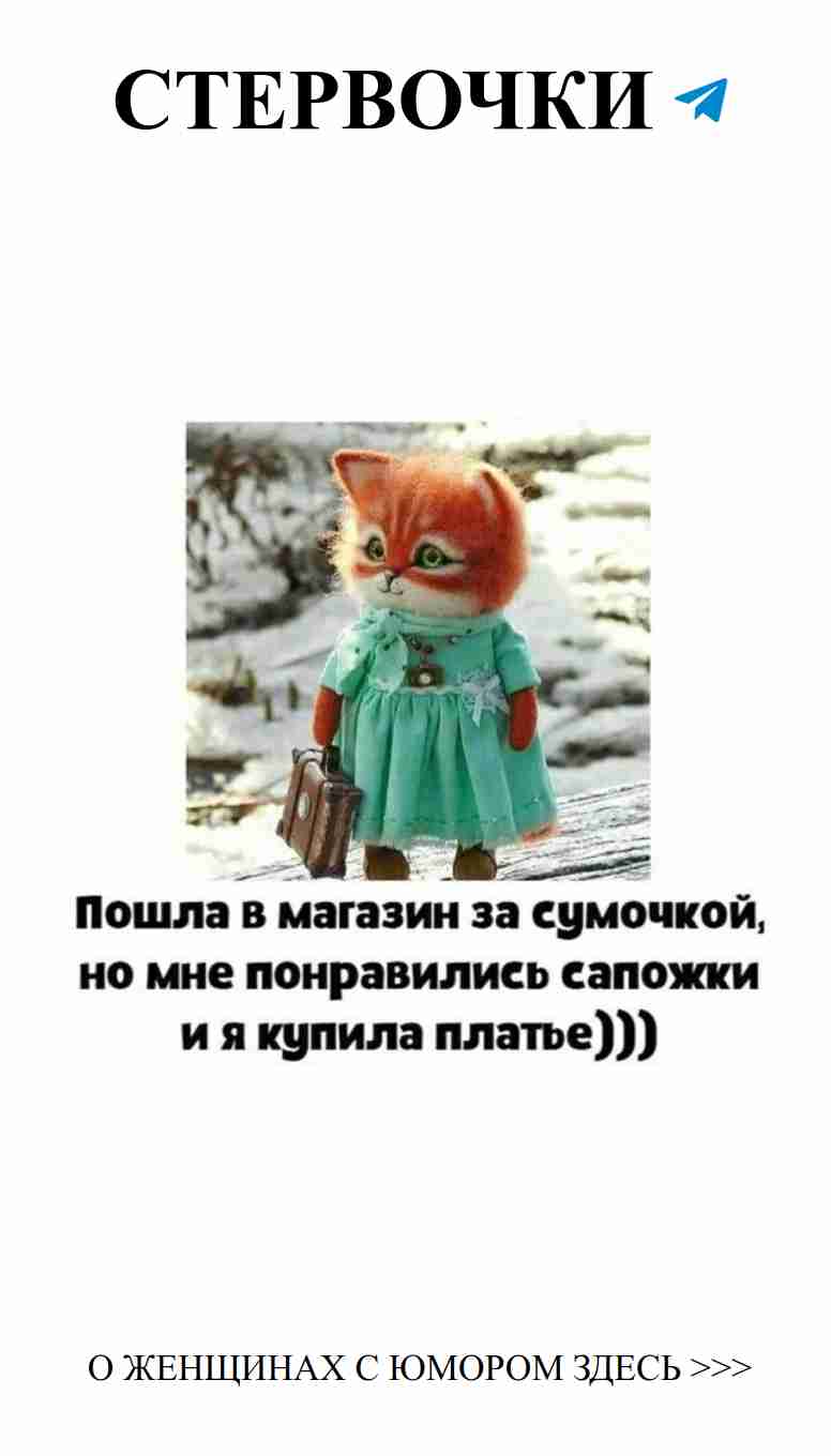 Котик в платье: женский юмор о любви и жизни