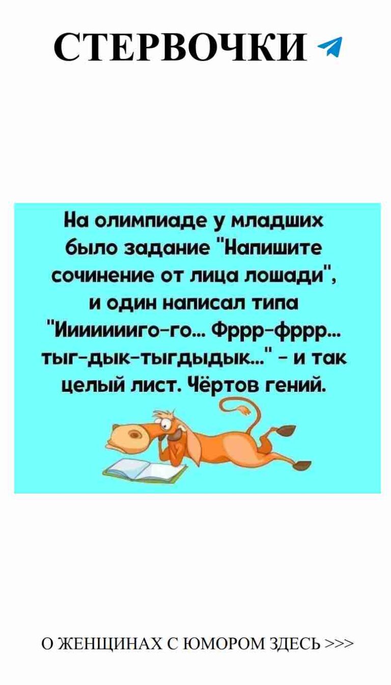 Когда собака читает книги, а мы смеёмся от души