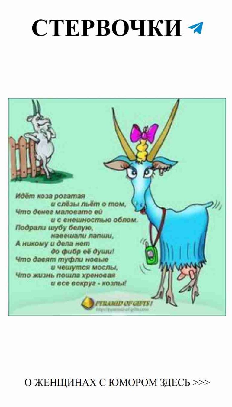 Когда любовь рога надевает, веселье начинаем ждать