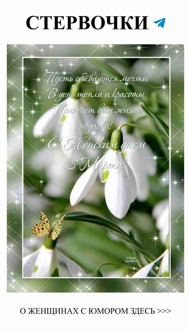 Цветы и бабочка: одно лишь имя любви