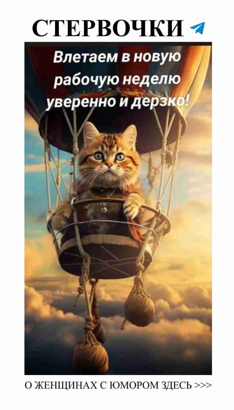 Кот в воздушном шаре – идеальный подарок для любимой