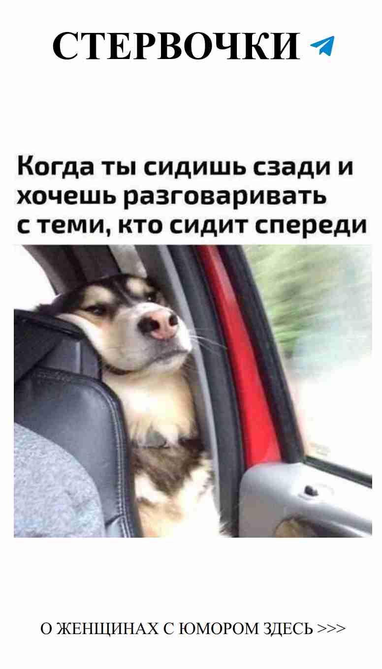 Любовь и смех: женский юмор в каждой шутке