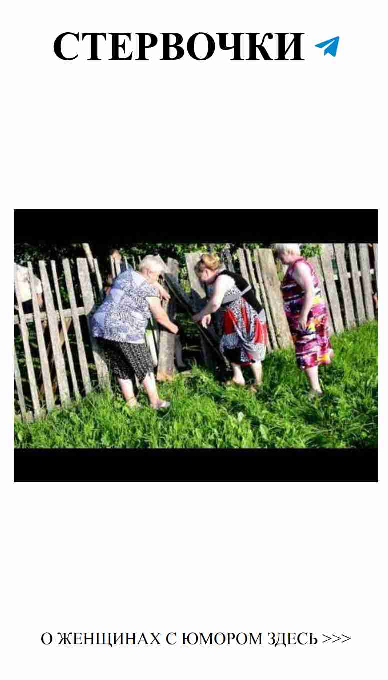 Когда три подруги выгуливают свои чувства на пикнике