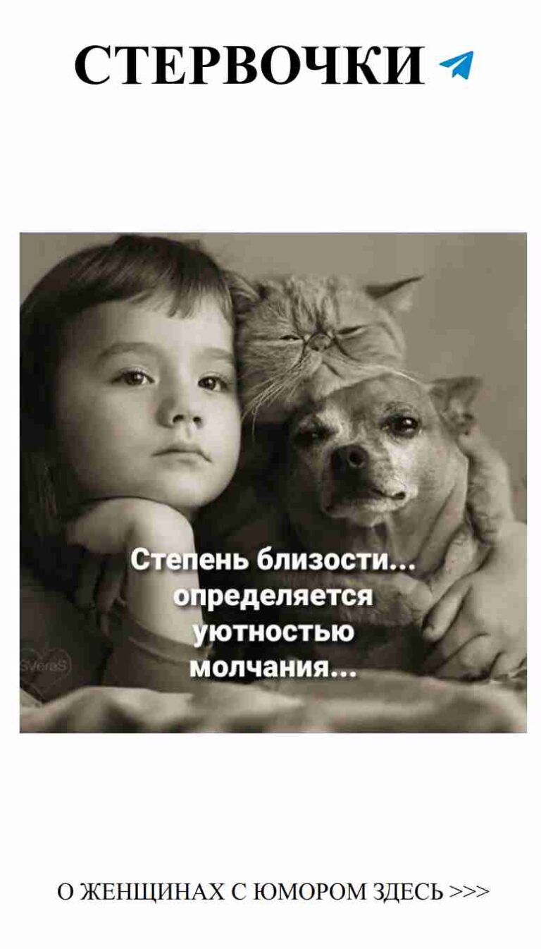 Любовь и юмор: как найти счастье в мелочах