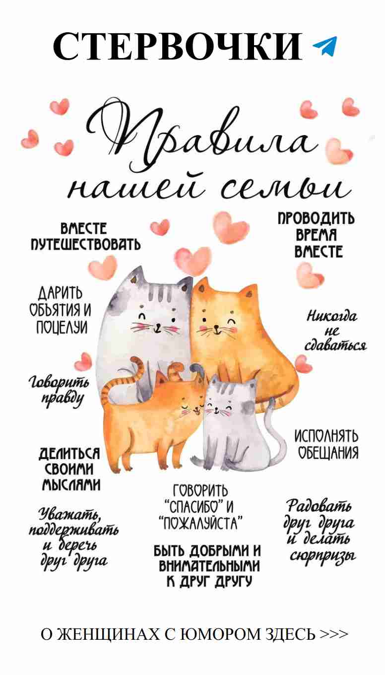 Смешные моменты о любви и котах для всей семьи