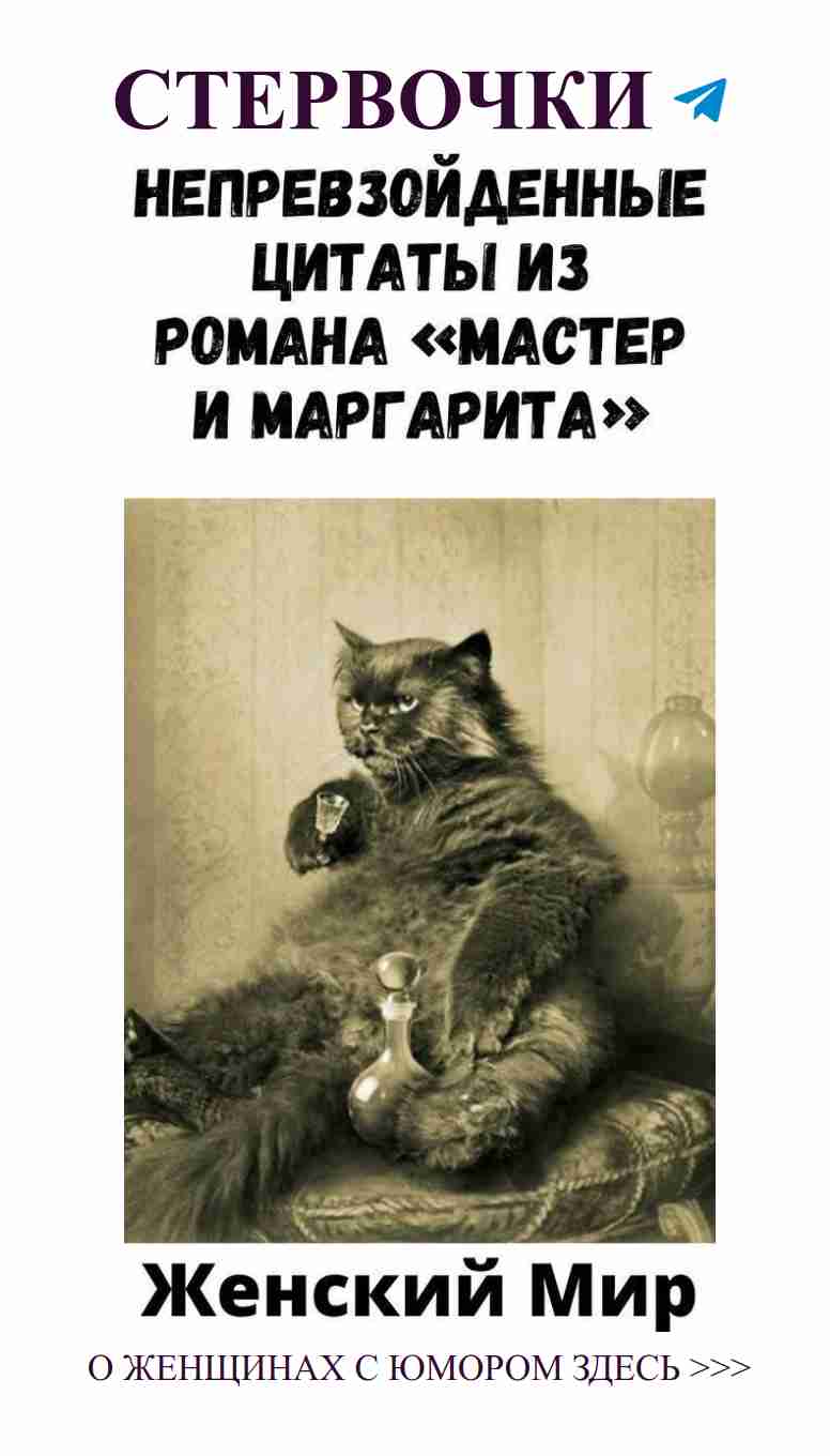 Приглашаем на живое обсуждение: юмор о любви и животным