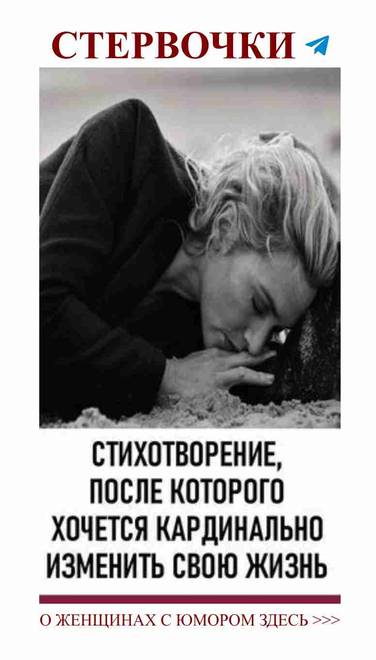 Когда любовь кажется грузом, вспомни о котах!