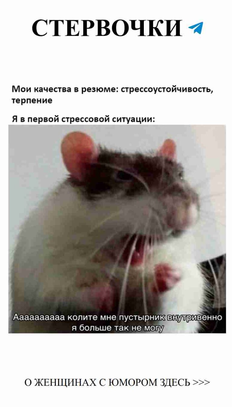 Улыбнись, любовь – это не только цветы, но и смех