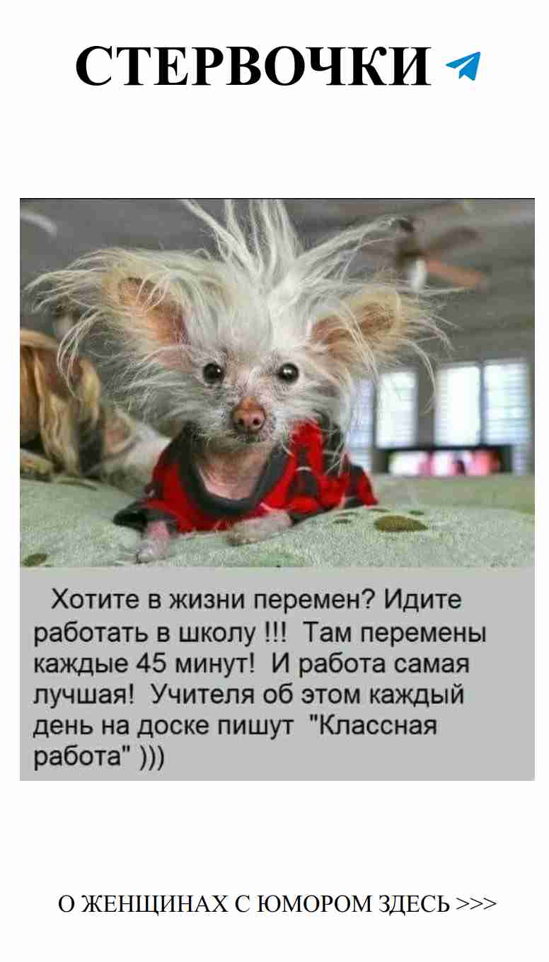 Что значит любовь, когда рядом такой песик?