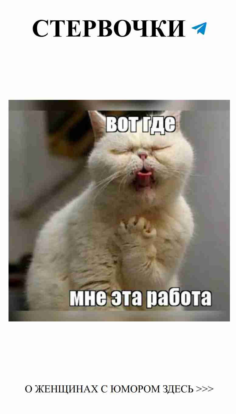 Когда твой кот поймал тебя на туалете в смешном моменте