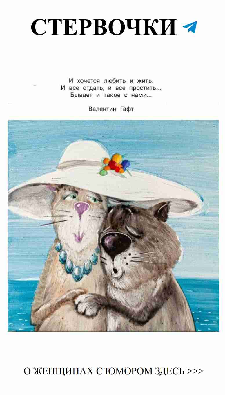 Две кошки в шляпах: любовь и юмор в каждой детали