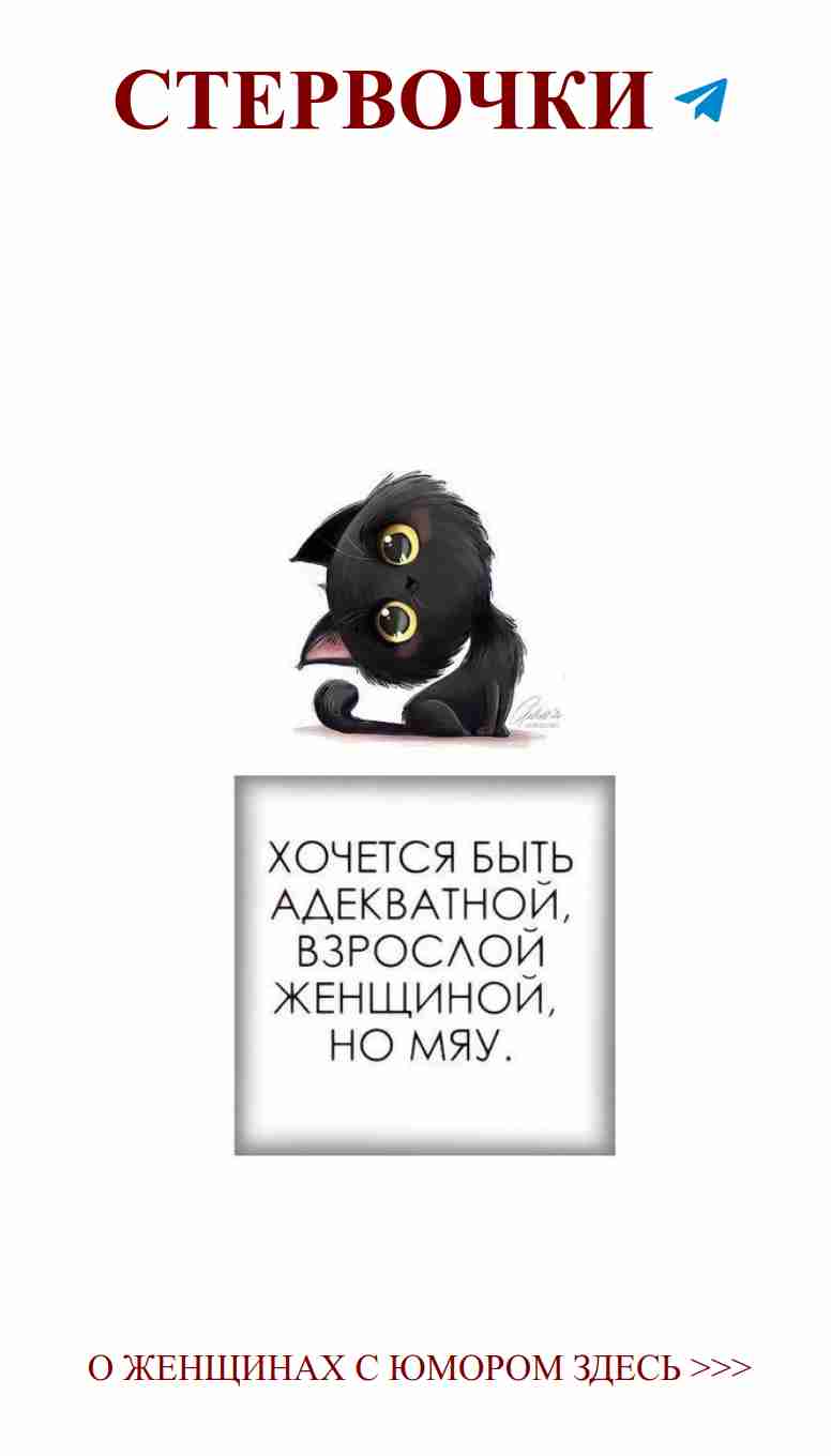 Незабудка и загадка: кот и любовь – смешно и мило