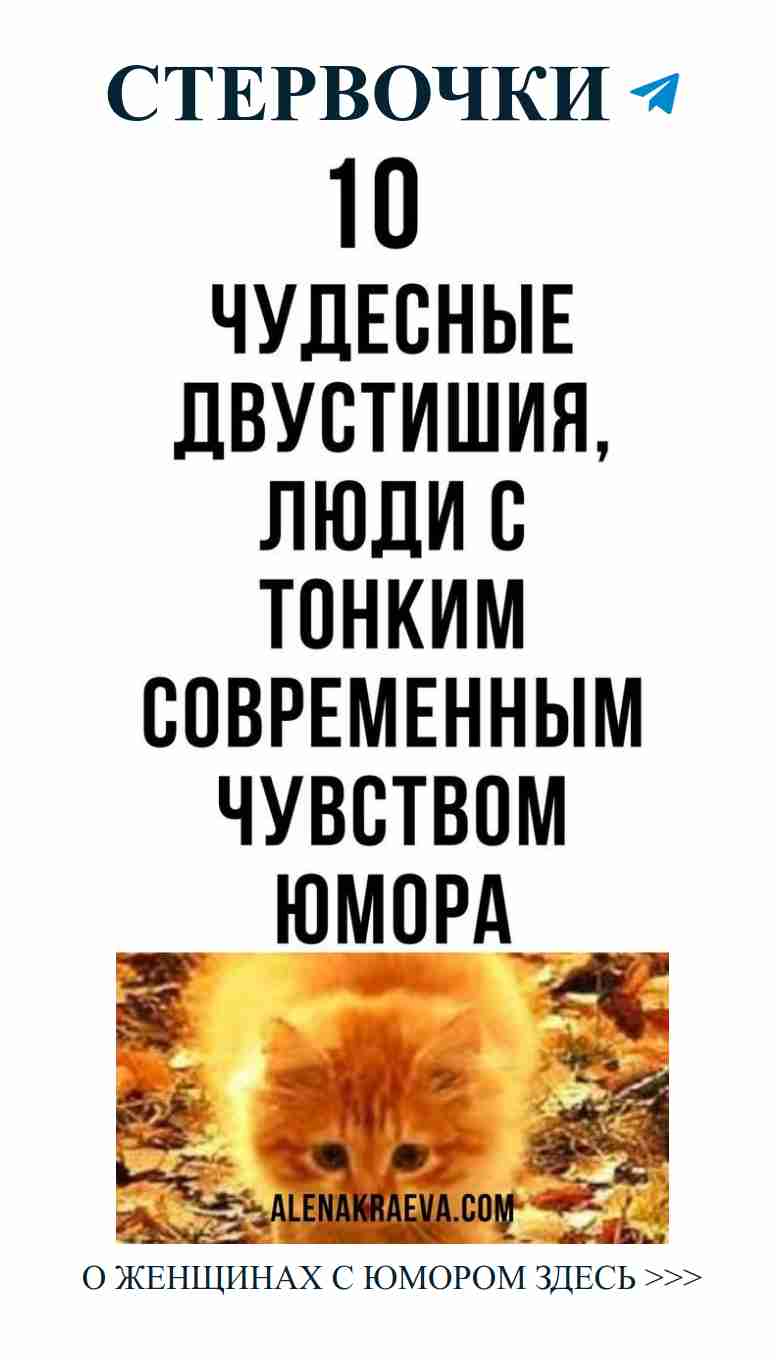 Нежность и юмор: любовь в каждом укусе жизни