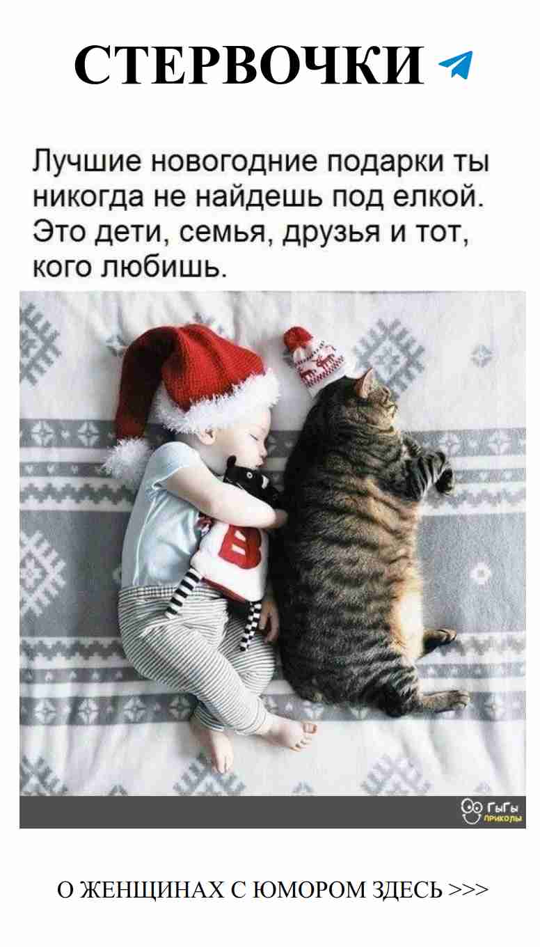 Когда кот и малыш превращают зиму в смешное волшебство