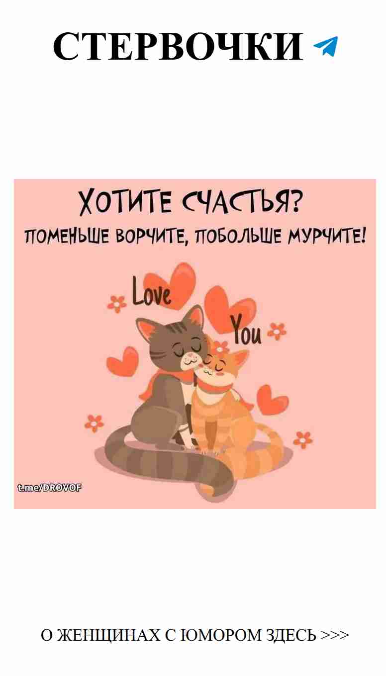 Уютные коты, которые любят – просто милота
