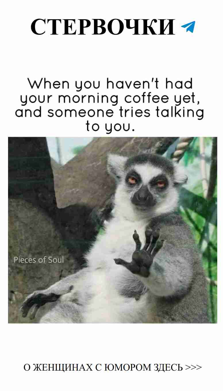 Веселое утро, королева! Пусть жизнь будет как комедия