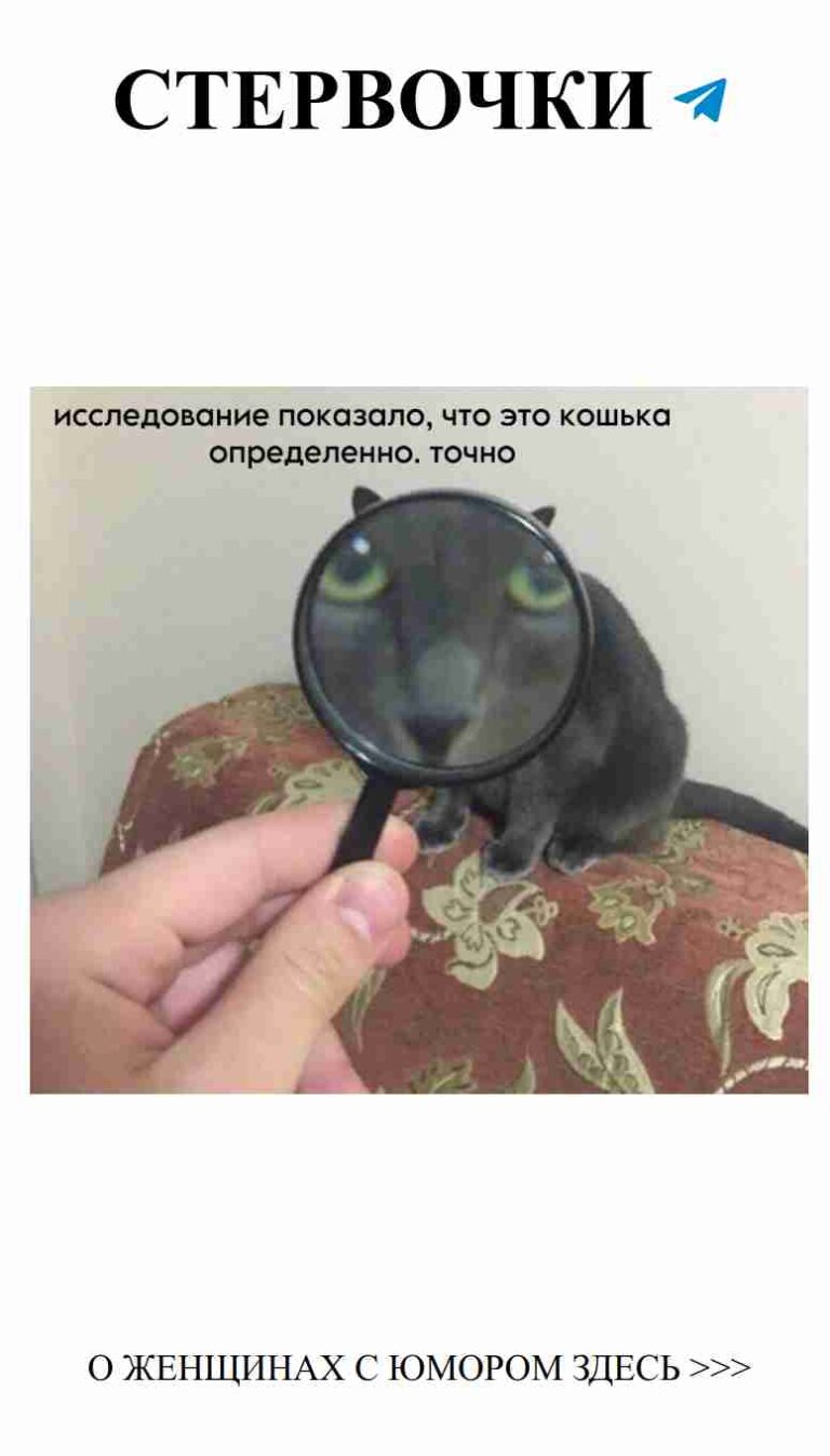 Любовь и смех: как совместить эти два важнейших чувства