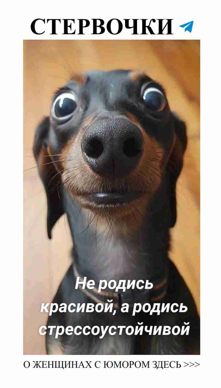 Любовь и юмор: как не потерять улыбку в отношениях