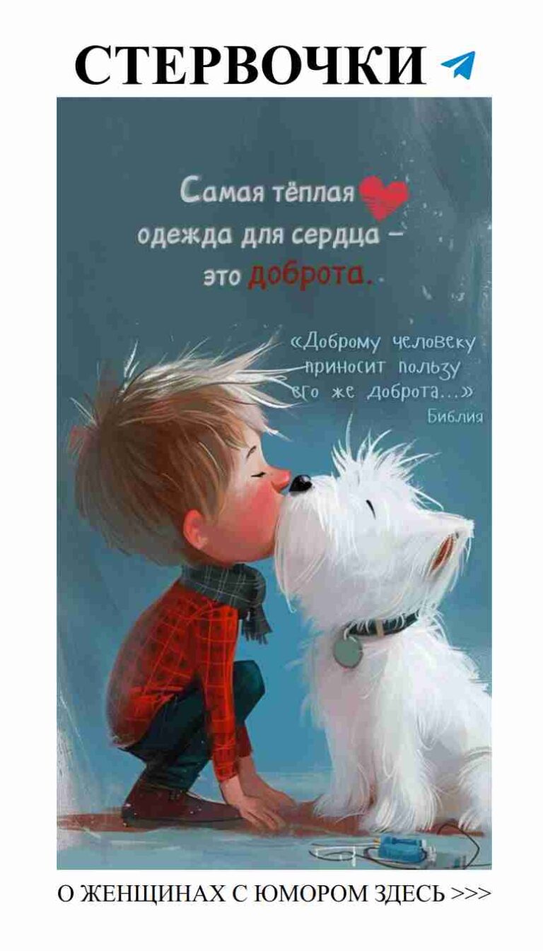 Любовь и забавные моменты с нашими пушистиками