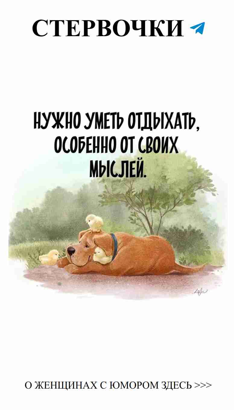 Собака и утёнок: когда любовь бывает смешной и милой