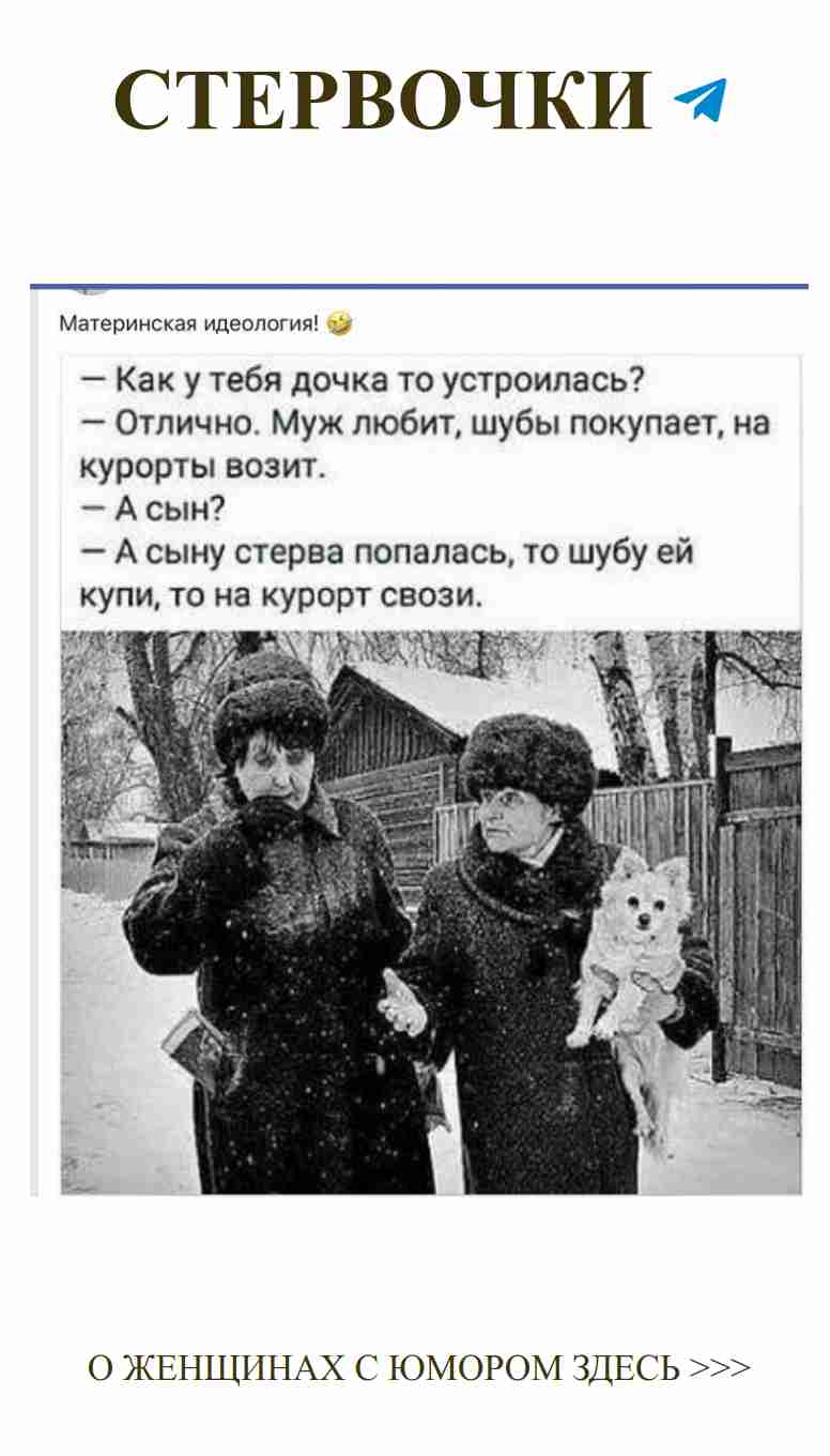 Снег, собачка и кот: женский юмор о любви и дружбе