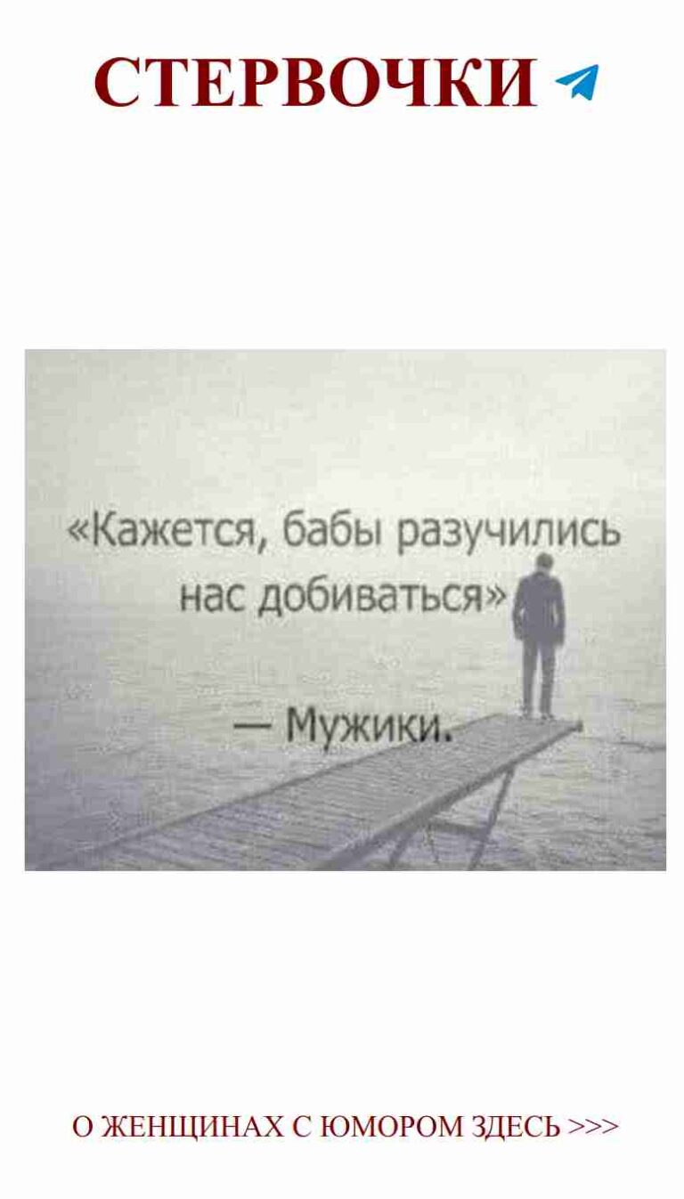 Любовь и смех: в foggy sky мы нашли старую дружбу