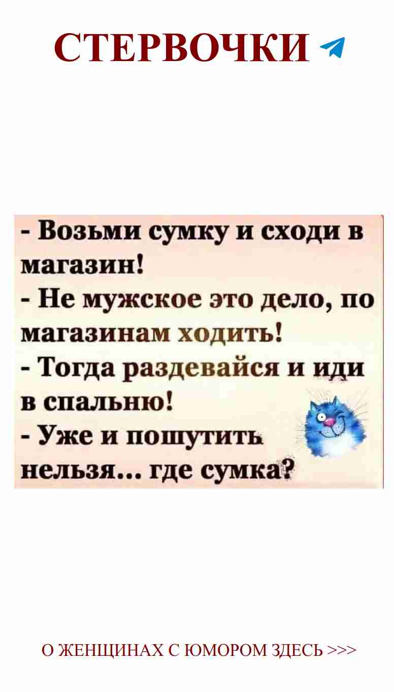 Синяя кошка с забавной надписью о любви и декоре