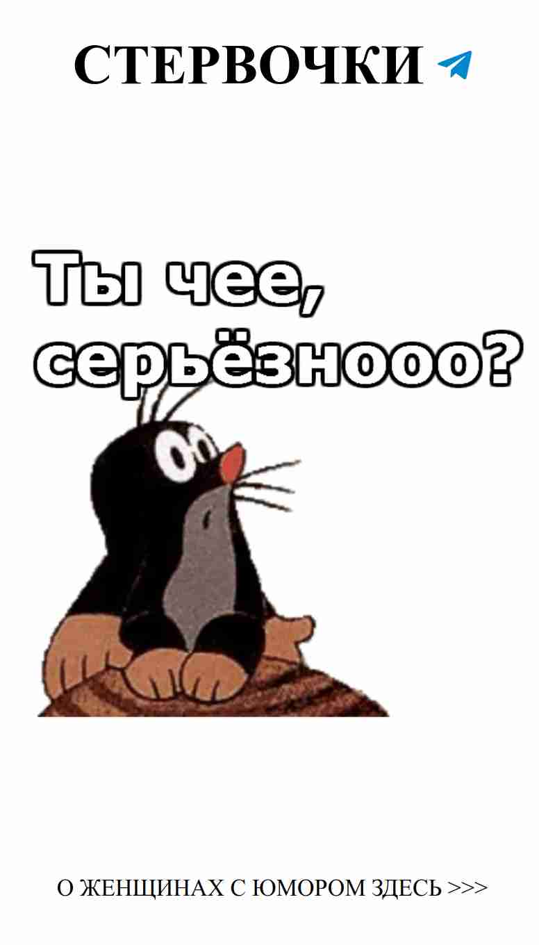 Смешные коты и цитаты про любовь, которые вдохновляют