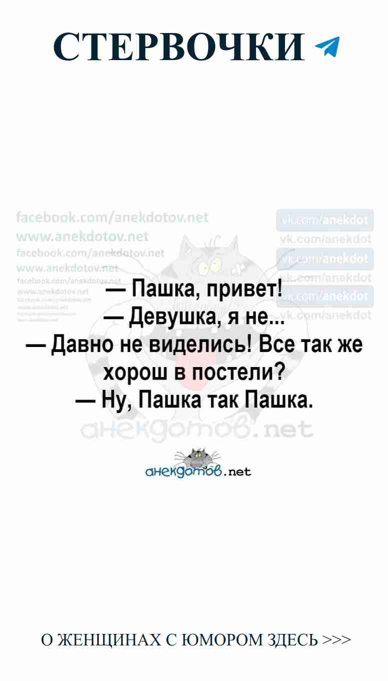 Кошачьи шутки о любви, которые заставят вас улыбнуться