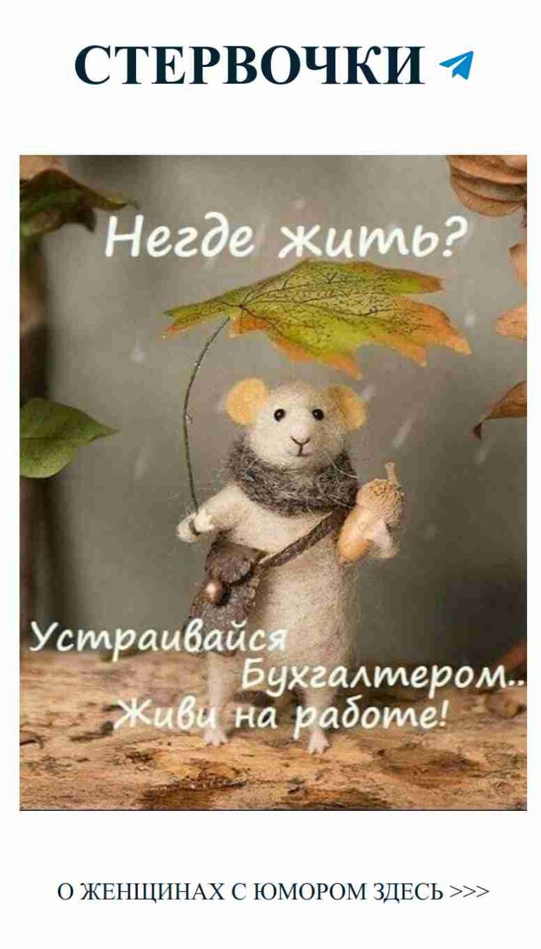 Мышонок с зонтом: осенний юмор для влюбленных