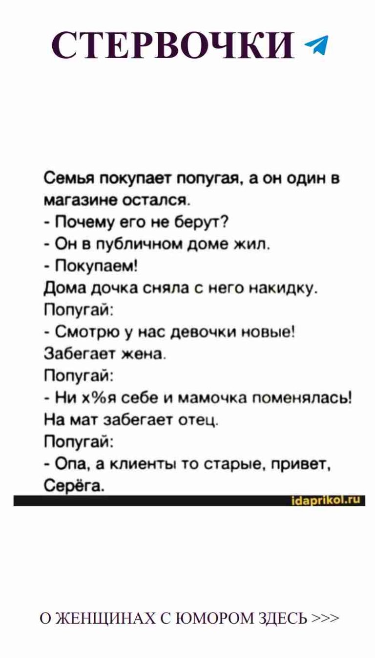 Любовь и юмор: смешные моменты, которые нас связывают