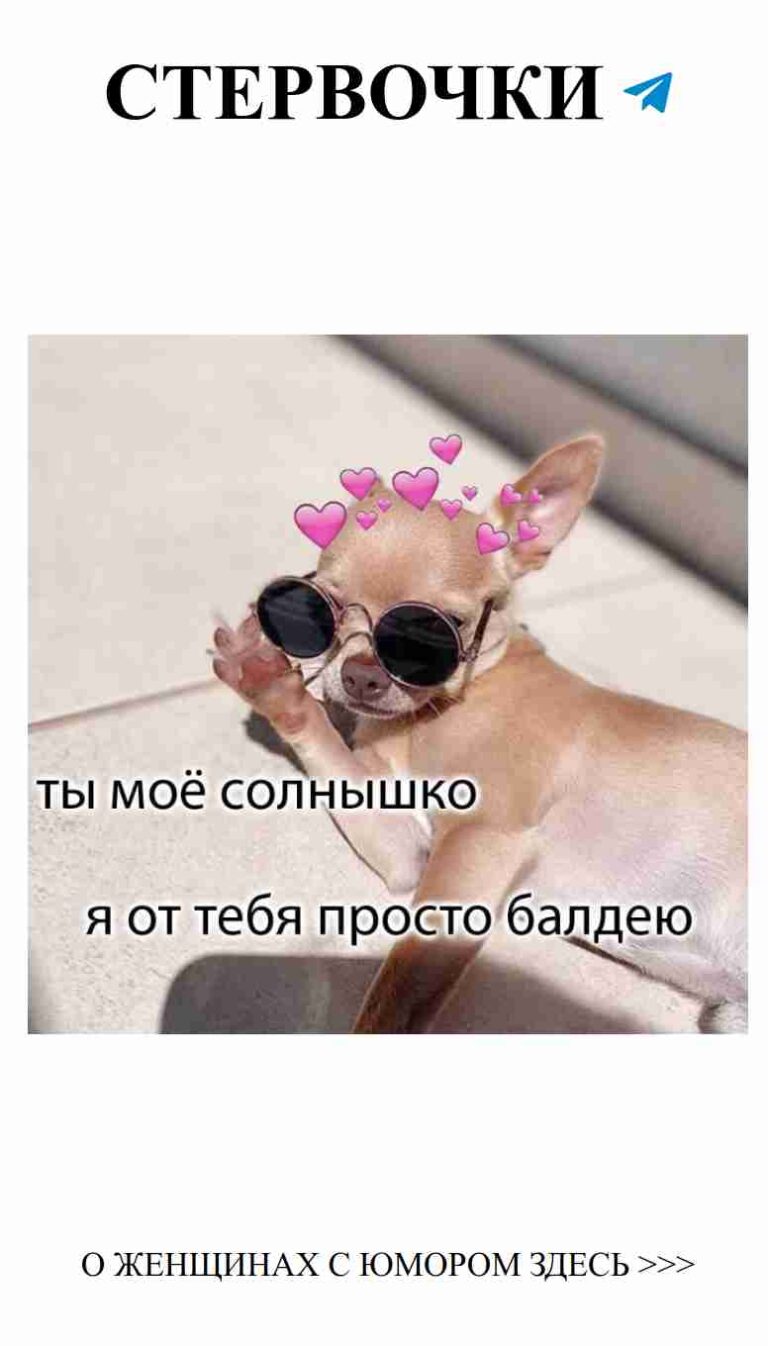 Собачка в очках: любовь и веселье для тебя