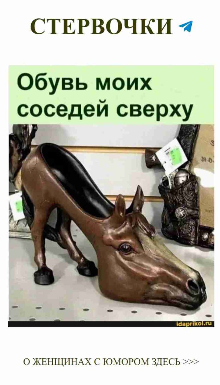 Когда любовь неожиданно стоит рядом с конем на полке