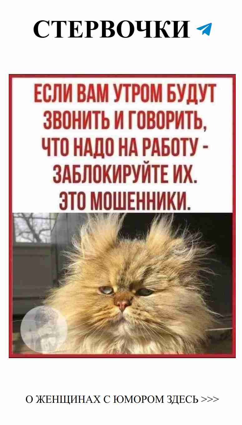 Когда ты ждешь любви, но жизнь шепчет: “Не сейчас”