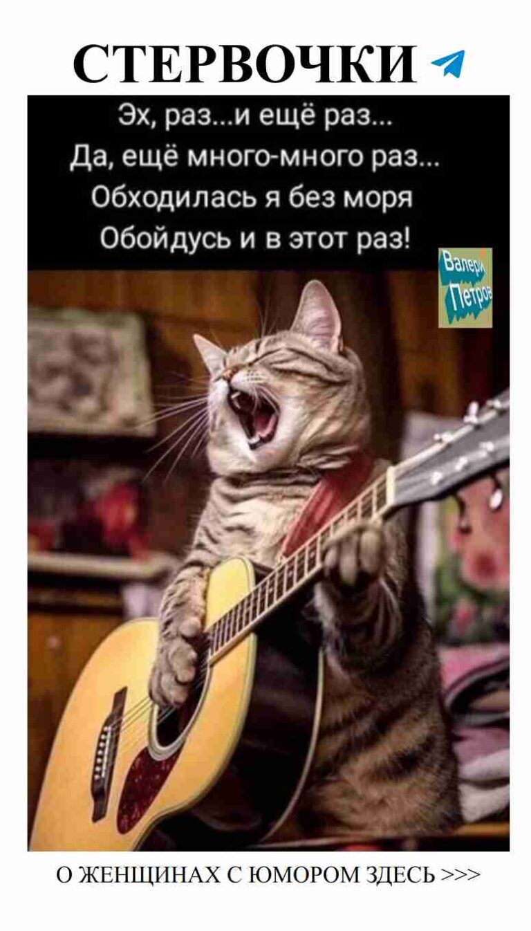 Кот, поющий о любви: юмор для любителей животных