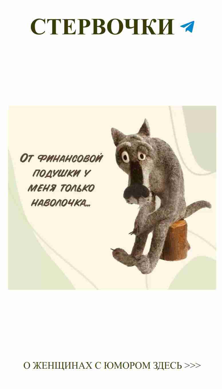 Кошка на пне: когда любовное вдохновение приходит неожиданно