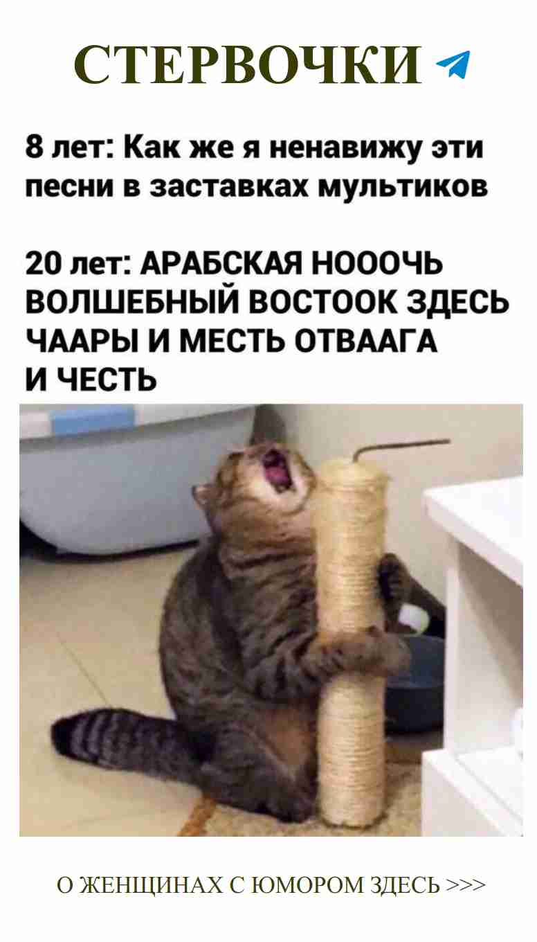 Кошка играет с когтеточкой: как найти радость в мелочах