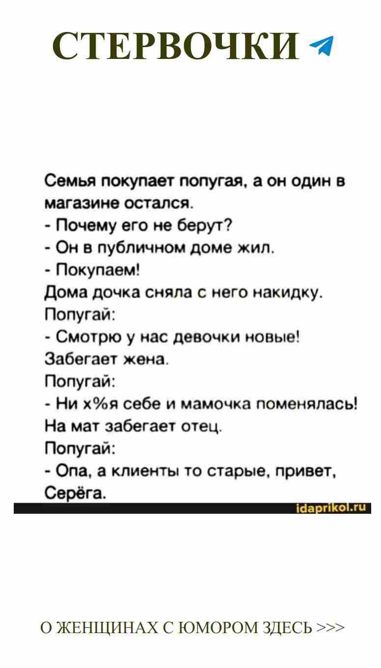 Любовь и смех: как женский юмор спасает в трудные времена
