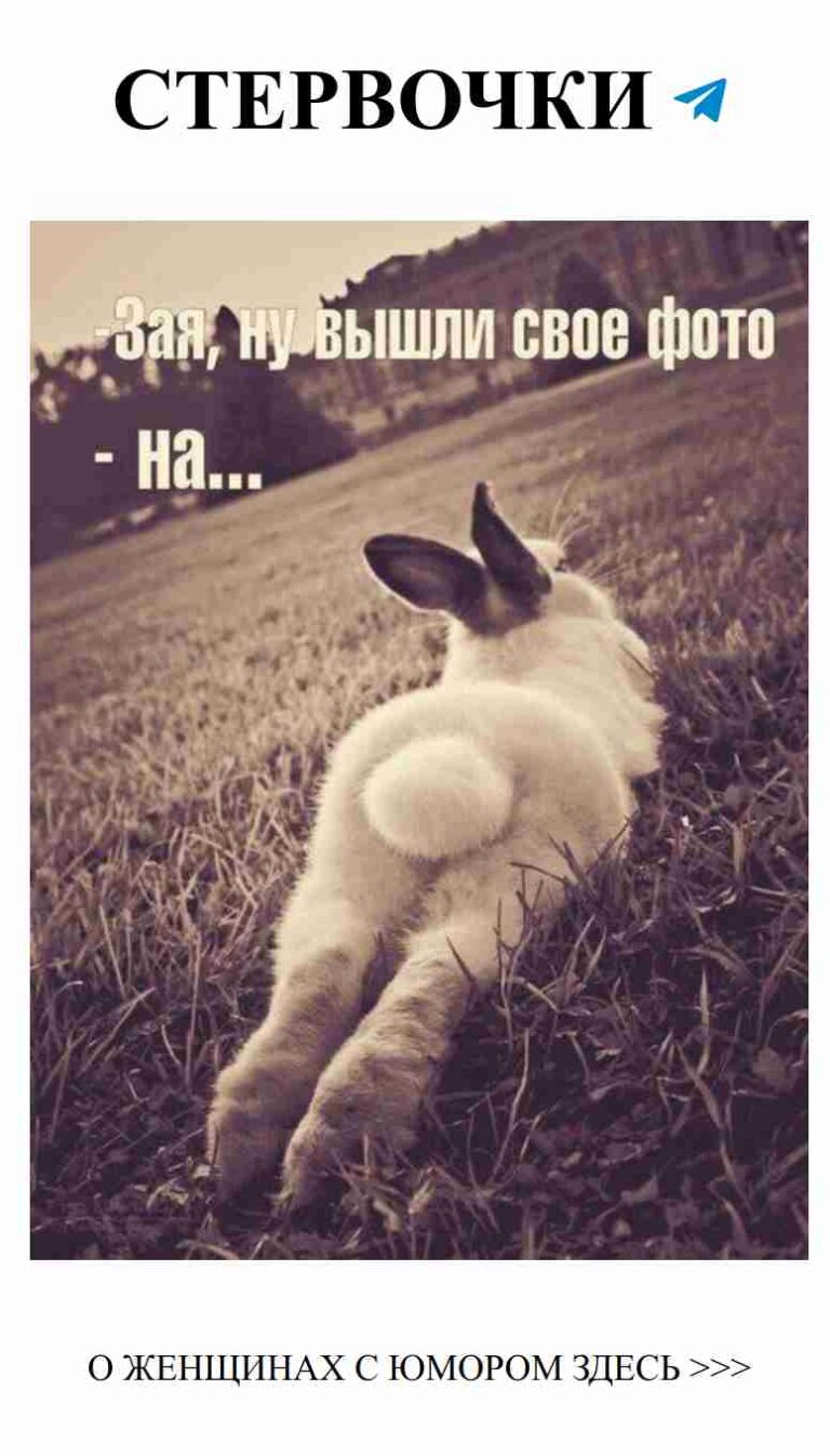 Смешной заяц: Любовь и юмор в одном кадре